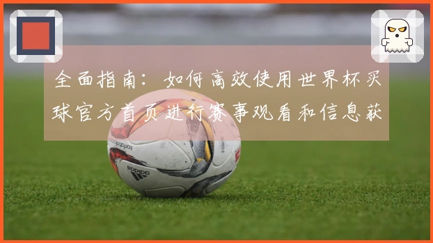 全面指南：如何高效使用世界杯买球官方首页进行赛事观看和信息获取