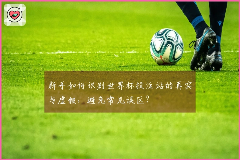 新手如何识别世界杯投注站的真实与虚假,避免常见误区?