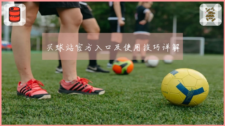 买球站官方入口及使用技巧详解