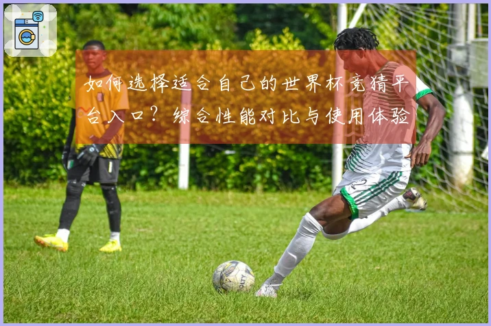 如何选择适合自己的世界杯竞猜平台入口?综合性能对比与使用体验分享