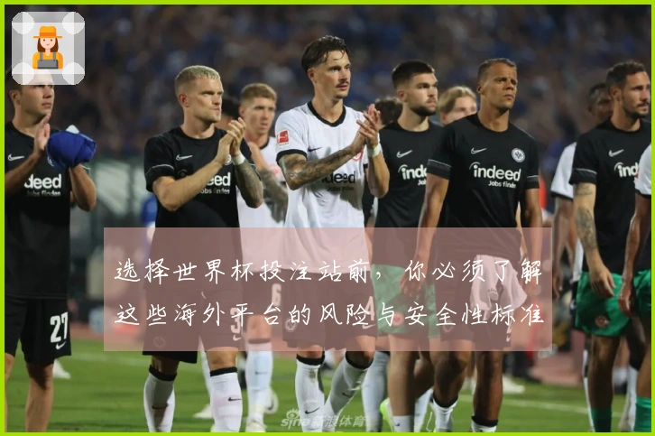 选择世界杯投注站前，你必须了解这些海外平台的风险与安全性标准