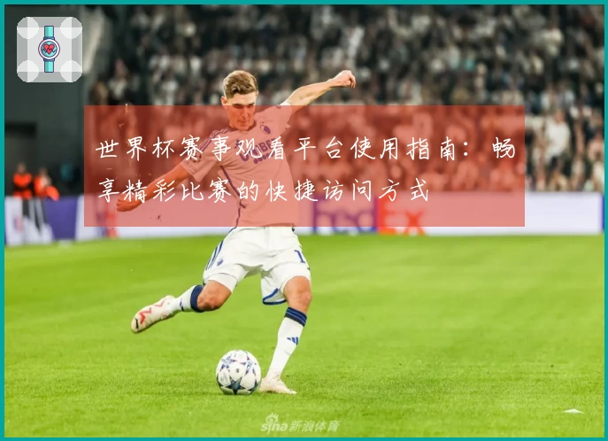 世界杯赛事观看平台使用指南：畅享精彩比赛的快捷访问方式