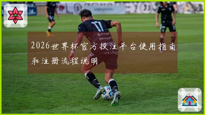 2026世界杯官方投注平台使用指南和注册流程说明