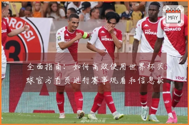 全面指南：如何高效使用世界杯买球官方首页进行赛事观看和信息获取