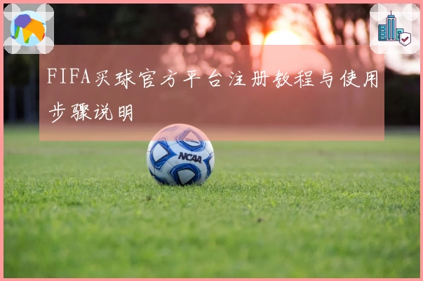 FIFA买球官方平台注册教程与使用步骤说明