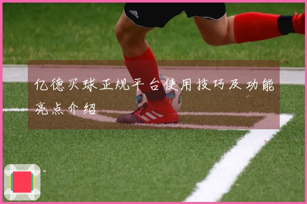 亿德买球正规平台使用技巧及功能亮点介绍