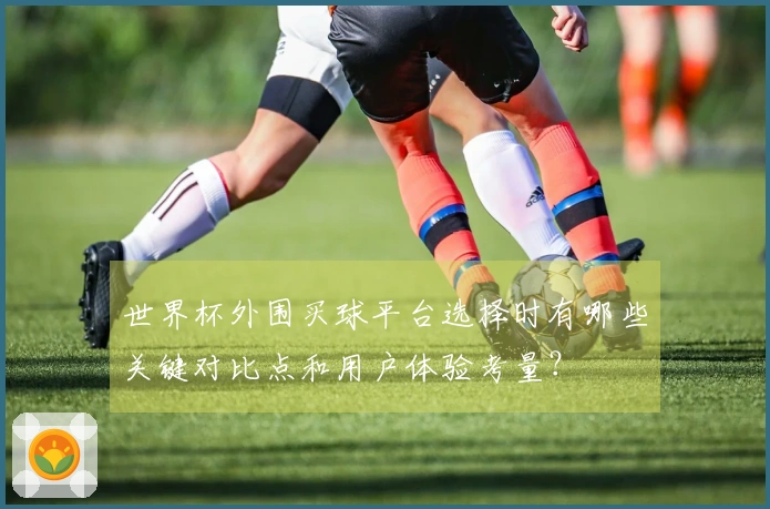 世界杯外围买球平台选择时有哪些关键对比点和用户体验考量？