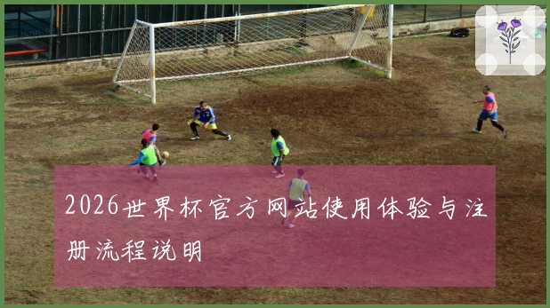 2026世界杯官方网站使用体验与注册流程说明