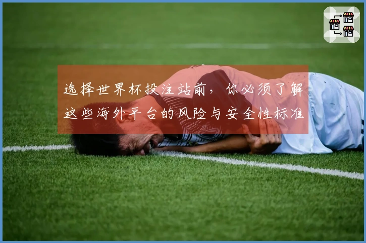选择世界杯投注站前,你必须了解这些海外平台的风险与安全性标准