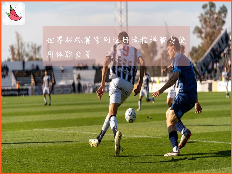 世界杯观赛官网注册流程详解与使用体验分享