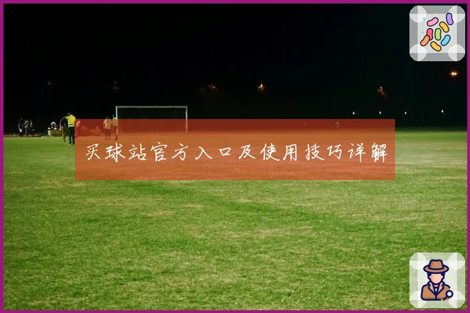 买球站官方入口及使用技巧详解